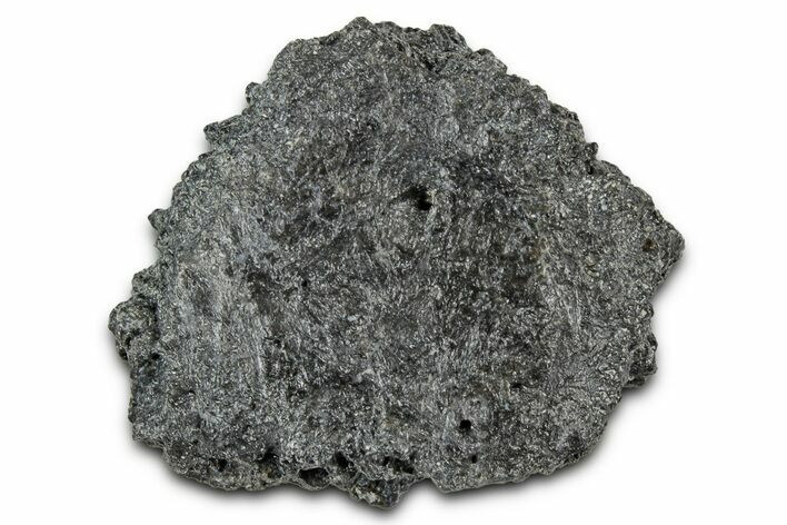 Fossil Glyptodont (Glyptotherium) Bony Armor Osteoderm - Florida #351057